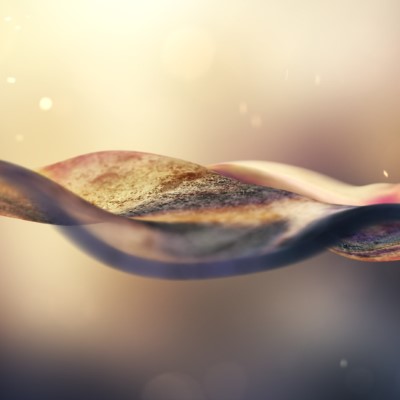 1920 x 1080 HD Wallpapers 1428